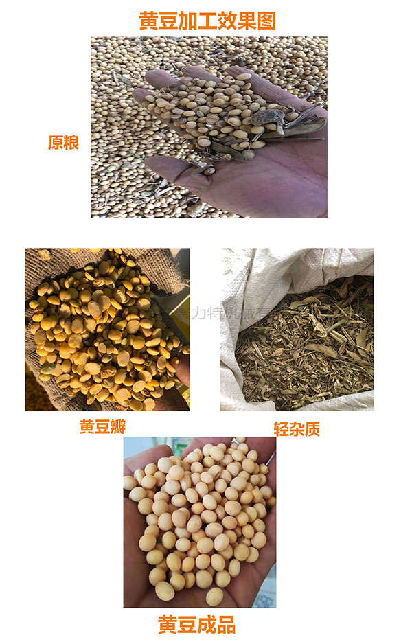 1590032824280504.jpg 黃豆效果圖.jpg