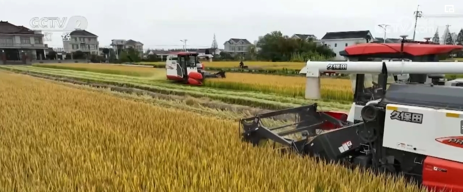 1704790495127870.png 圖片3.png